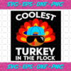 Coolest Turkey In The Flock Thanksgiving Svg TG0711202016
