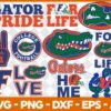FloridaGators1