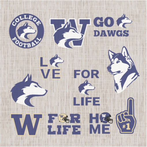 WashingtonHuskies