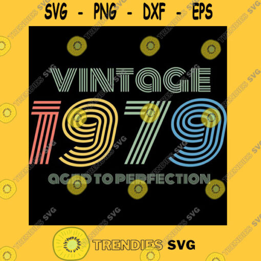 1979 Birthday Vintage Aged Perfection Funny Retro Gift Classic T Shirt