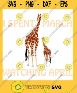 Brother Sister Svg April The Giraffe. I Spent March Watching April. Essential