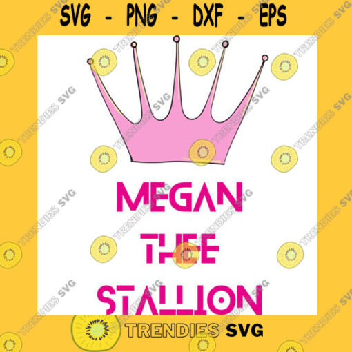megan thee stallion T Shirt