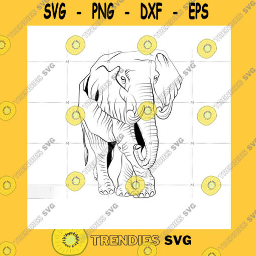 Animals SVG Elephant Elephant Jumbo