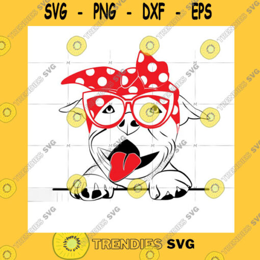 Animals SVG Funny Dog With Bandana And Glasses