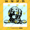 Animals SVG Golden Retriever Svg File Goldie Dxf Golden Retriever Dog Svg Peeking Golden Retriever Svg Png File Download