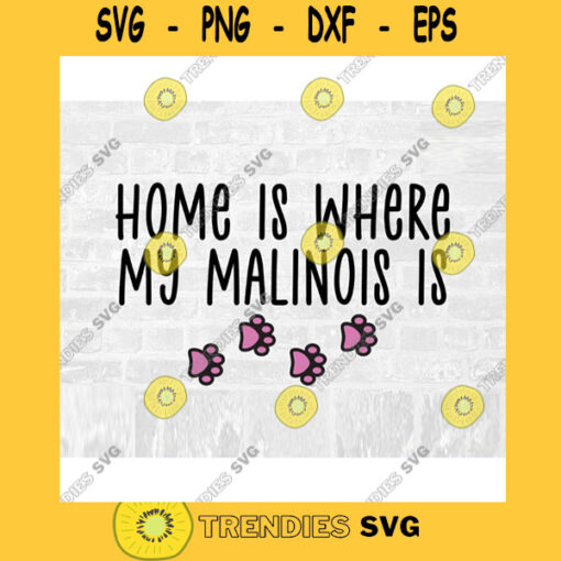 Belgian Malinois SVG Dog Breed Svg Paw Print SVG Commercial Use Svg Dog Breed Stickers Svg