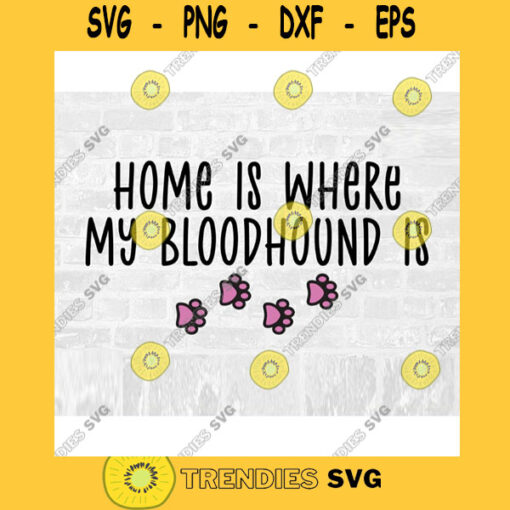 Bloodhound SVG Dog Breed Svg Paw Print SVG Commercial Use Svg Dog Breed Stickers Svg