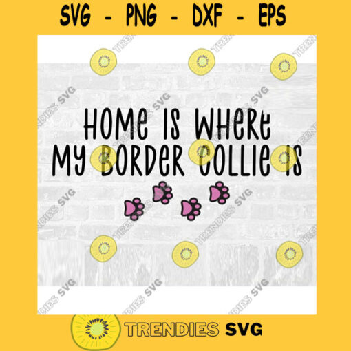 Border Collie SVG Dog Breed Svg Paw Print SVG Commercial Use Svg Dog Breed Stickers Svg