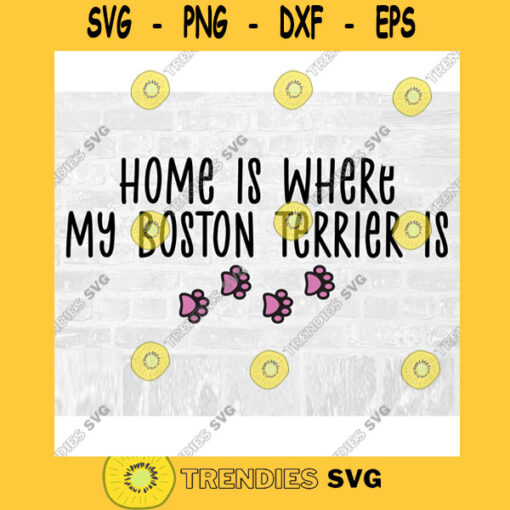 Boston Terrier SVG Dog Breed Svg Paw Print SVG Commercial Use Svg Dog Breed Stickers Svg