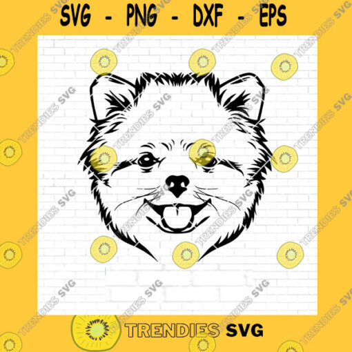 Dog SVG Pomeranian Svg File Dog Svg Funny Dog Clipart Pet Face Png Pomeranian Breed Svg Pomeranian Clipart Print Cricut Cutting Files