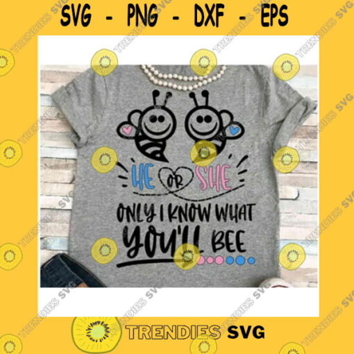 Funny SVG Baby Svg Dxf Jpeg Silhouette Cameo Cricut Pink Or Blue Iron On Reveal What Will Baby Be Reveal Shower He Or She Bee Keeper Of The Gender