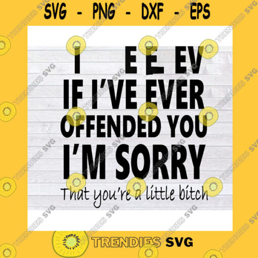 Funny SVG If Ive Ever Offended You I39M Sorry That Youre A Little Svg Png Eps