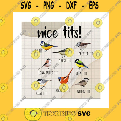 Funny SVG Nice Tits PngBird Watching PngFunny Birds PngGreat Tit Bird PngBird CollectionBird EnthusiastBirdwatchers GiftPng Sublimation Print
