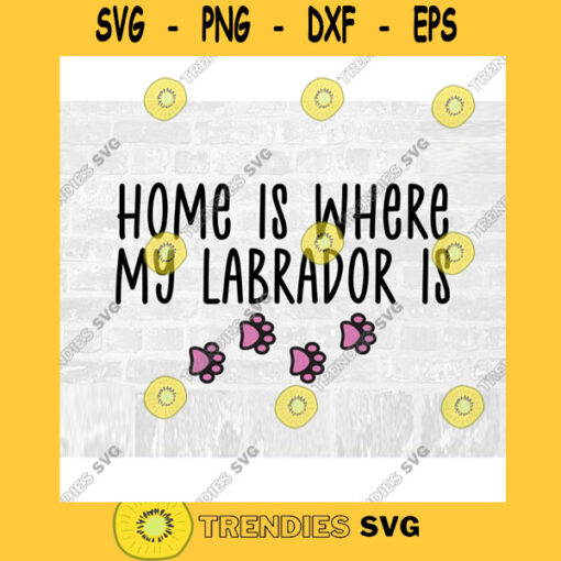 Labrador SVG Dog Breed Svg Paw Print SVG Commercial Use Svg Dog Breed Stickers Svg