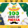 100 Days Brighter Svg Girl 100 Days of School Svg 100 Days Smarter 100 Days Shirt Svg School Kids Svg Cut File for Cricut Png Dxf.jpg