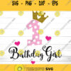 1st Birthday svg First Birthday SVG 1st Birthday Girl SVG Birthday Princess Svg Birthday Girl SVG Birthday Party Svg Birthday Svg