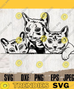 3 Peeking Cats svg Peeking Animal svg Cat Clipart Cat Cutfile Cat svg Peeking Cat Cutfile Peeking Cat Digital Download Cat Shirt svg copy