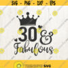 30 and fabulous svg file 30th birthday saying t shirt design and cut file studio files svg png dxf eps Design 16