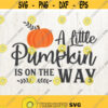 A Little Pumpkin is on the Way svg Little Pumpkin Baby Shower Baby svg pumpkin svg pregnancy svg pregnancy announcement Design 43