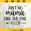 Aint No Family Like The One I Got Svg Toddler Svg Kids Shirt Svg Baby Svg Family Shirt Svg Svg Files for Cricut Svg for Toddlers.jpg