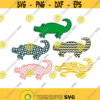 Alligator Flordia Cuttable Design SVG PNG DXF eps Designs Cameo File Silhouette Design 2070