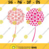 Allium Flowers Flora Flower Art Cuttable Design SVG PNG DXF eps Designs Cameo File Silhouette Design 572