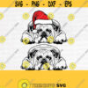 American Bulldog Svg Dog Svg Files for Cricut Christmas Vector Clipart Breed Svg Santa Hat Svg Funny Animals Svg Funny Dog SvgDesign 905