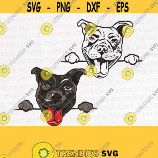 American Pitbull Svg File Pit Bull Svg Dog Paw Terrier Svg Pet Logo Svg Dog Svg Cutting FilesDesign 357