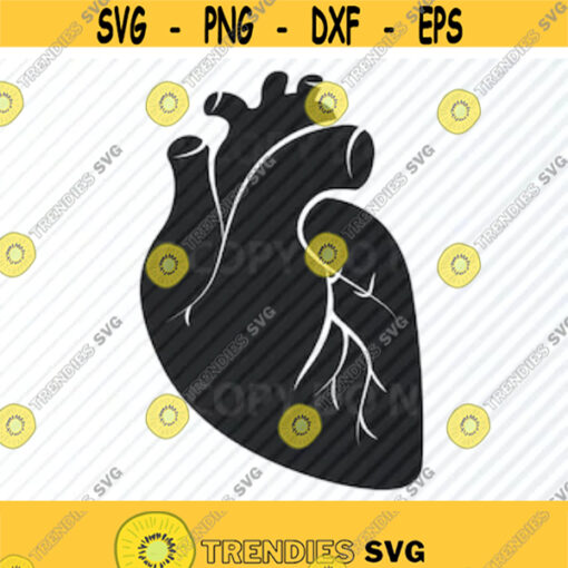 Anatomical Heart 4 SVG Files For Cricut medical svg Clipart Anatomy silhouette Files SVG Image Eps Png Dxf Stencil Clip Art Design 289