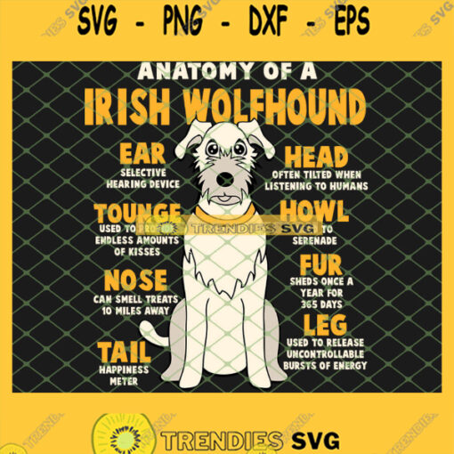 Anatomy Of A Irish Wolfhound SVG PNG DXF EPS 1