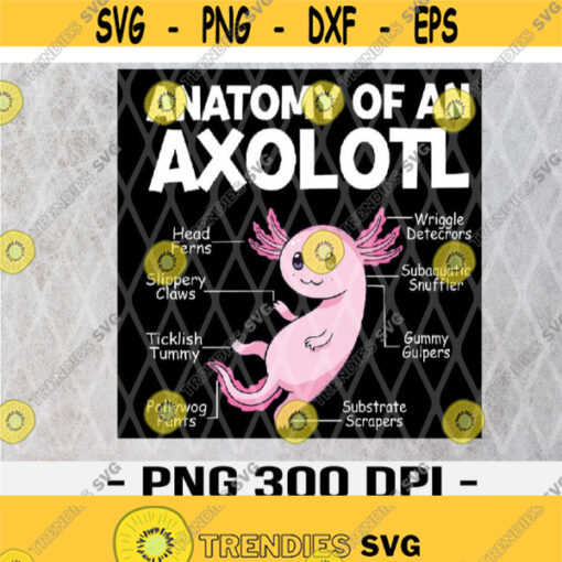 Anatomy Of An Axolotl Funny Axolotl Owner PNG Design 267