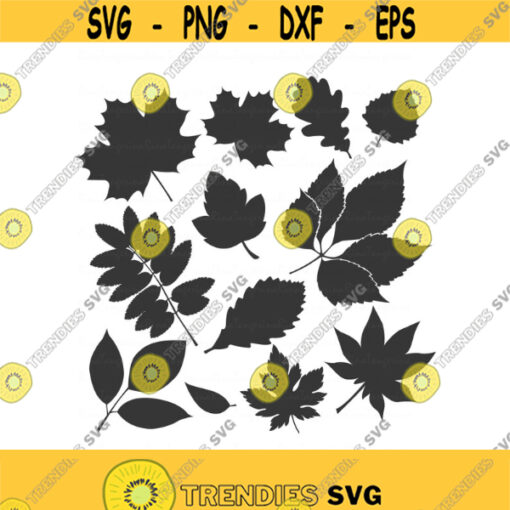 Autumn leaves svg fall svg Thanksgiving svg leaf svg png dxf Cutting files Cricut Funny Cute svg designs print for t shirt Design 973