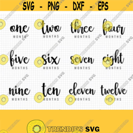 Baby Milestone SVG. Baby First Year Months Cut Files. Baby Age Monthly Photo Props. Clipart Digital Instant Download dxf eps png jpg pdf Design 233