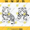 Baby Tiger 2 SVG Black white Transfer Vector Images Tiger Clip Art SVG Files For Cricut Eps Png dxf Lion Stencil ClipArt Silhouette Design 194