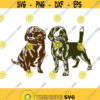 Beagle Dog Cuttable Design SVG PNG DXF eps Designs Cameo File Silhouette Design 1251