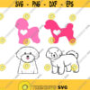 Bichon Frise Dog animal Cuttable Design SVG PNG DXF eps Designs Cameo File Silhouette Design 1418