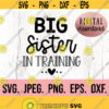 Big Sister In Training SVG Promoted to Big Sister New Baby SVG Sibling SVG Big Sister To Be png Cricut File Instant Download Design 721