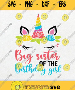 Big Sister Of The Birthday Girl Svg Png Svg Cut Files Svg Clipart Silhouette Svg Cricut Svg File