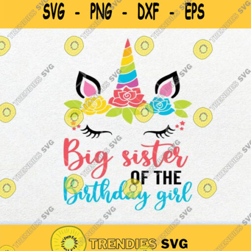 Big Sister Of The Birthday Girl Svg Png