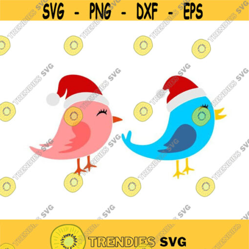 Birds Santa Hat Christmas Cuttable Design SVG PNG DXF eps Designs Cameo File Silhouette Design 707