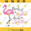 Birds of a feather drink together svg flamingo svg png dxf Cutting files Cricut Funny Cute svg designs print for t shirt quote svg Design 10