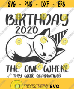 Birthday 2020 svg birthday svg cat svg png dxf Cutting files Cricut Funny Cute svg designs print for t shirt quote svg Design 149
