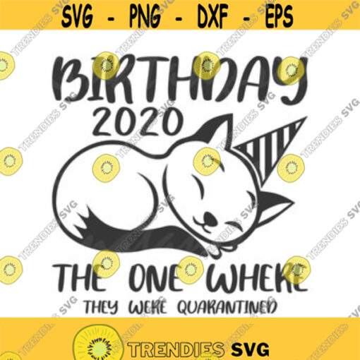 Birthday 2020 svg birthday svg cat svg png dxf Cutting files Cricut Funny Cute svg designs print for t shirt quote svg Design 149