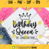 Birthday Queen In Quarantine 2020 Svg 2020 Birthday Svg Quarantine Birthday Svg Birthday Svg Quarantine Svg Birthday Svg Cricut Design 975