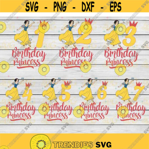 Birthday svg Bundle Birthday Princess Svg Birthday svg Cricut File Clipart Svg Png Eps dxf Design 316 .jpg