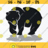 Black Bear SVG Files Vector Images Clipart Bear SVG Image For Cricut wildlife Silhouette Eps Png Dxf Clip Art Zoo Animal svg Design 425