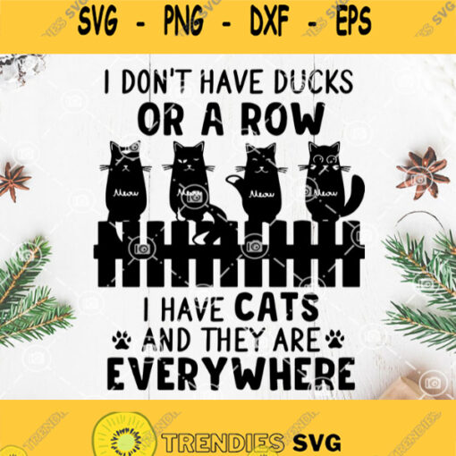 Black Cat I Dont Have Ducks Or A Row I Have Cats And They Are Everywhere Svg Black Cat Meow Svg