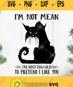 Black Cat Im Not Mean Im Just Too Old To Pretend I Like You Svg Png Dxf Eps 1