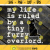 Black Cat My Life Is Ruled By A Tiny Furry Overlord svg Funny Svg cricut file clipart svg png eps dxf Design 564 .jpg