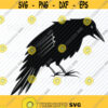 Black Raven SVG Files Bird Vector Images Clipart Cutting Files SVG Image For Cricut Bird Silhouette Eps Png Dxf Clip Art Raven svg Design 242